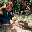 Бензопила цепная STIHL MS 390